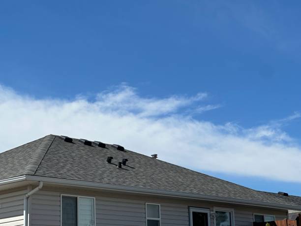 Cold Roofs in Cambrian Park, CA
